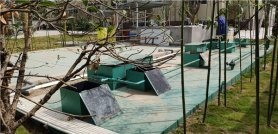 湖北荆州豆制品厂污水处理现场